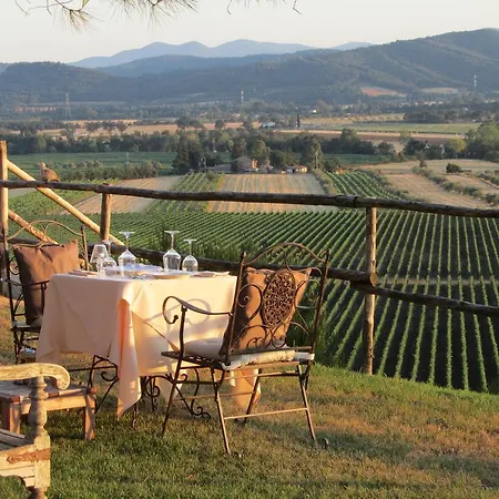Country house Wine Conti Di San Bonifacio *