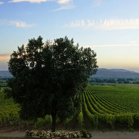 Wine Conti Di San Bonifacio Country house *