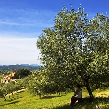 Country house Wine Conti Di San Bonifacio *