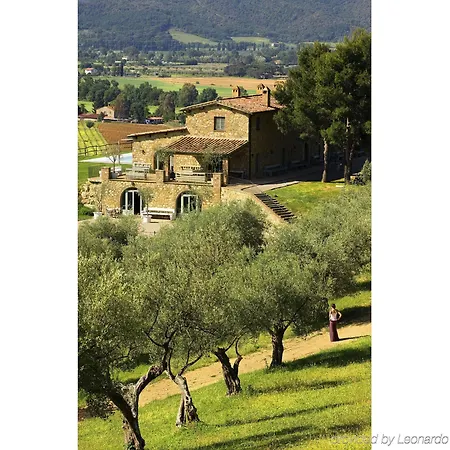 Wine Conti Di San Bonifacio Country house