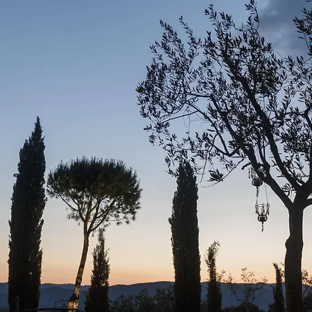 Wine Conti Di San Bonifacio Country house Montemassi