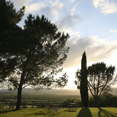 Wine Conti Di San Bonifacio * Montemassi