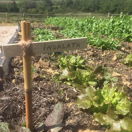 Wine Conti Di San Bonifacio Séjour à la campagne Montemassi